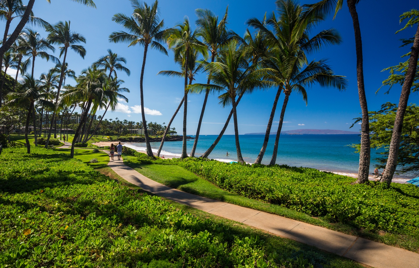 Beachfront walking path lined with palm trees above Keawakapu Beach in Wailea, Maui